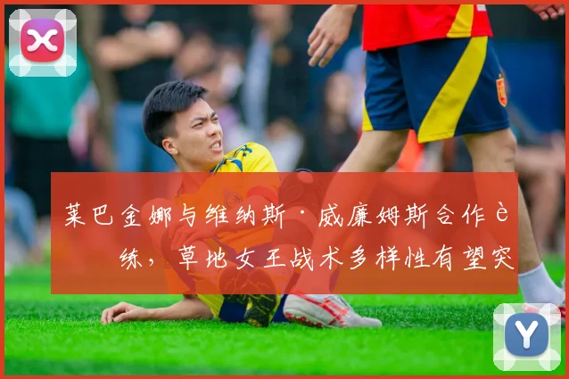 莱巴金娜与维纳斯·威廉姆斯合作训练，草地女王战术多样性有望突破